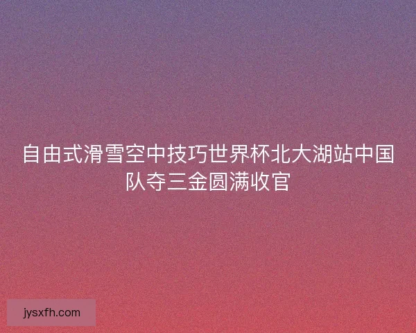 自由式滑雪空中技巧世界杯北大湖站中国队夺三金圆满收官